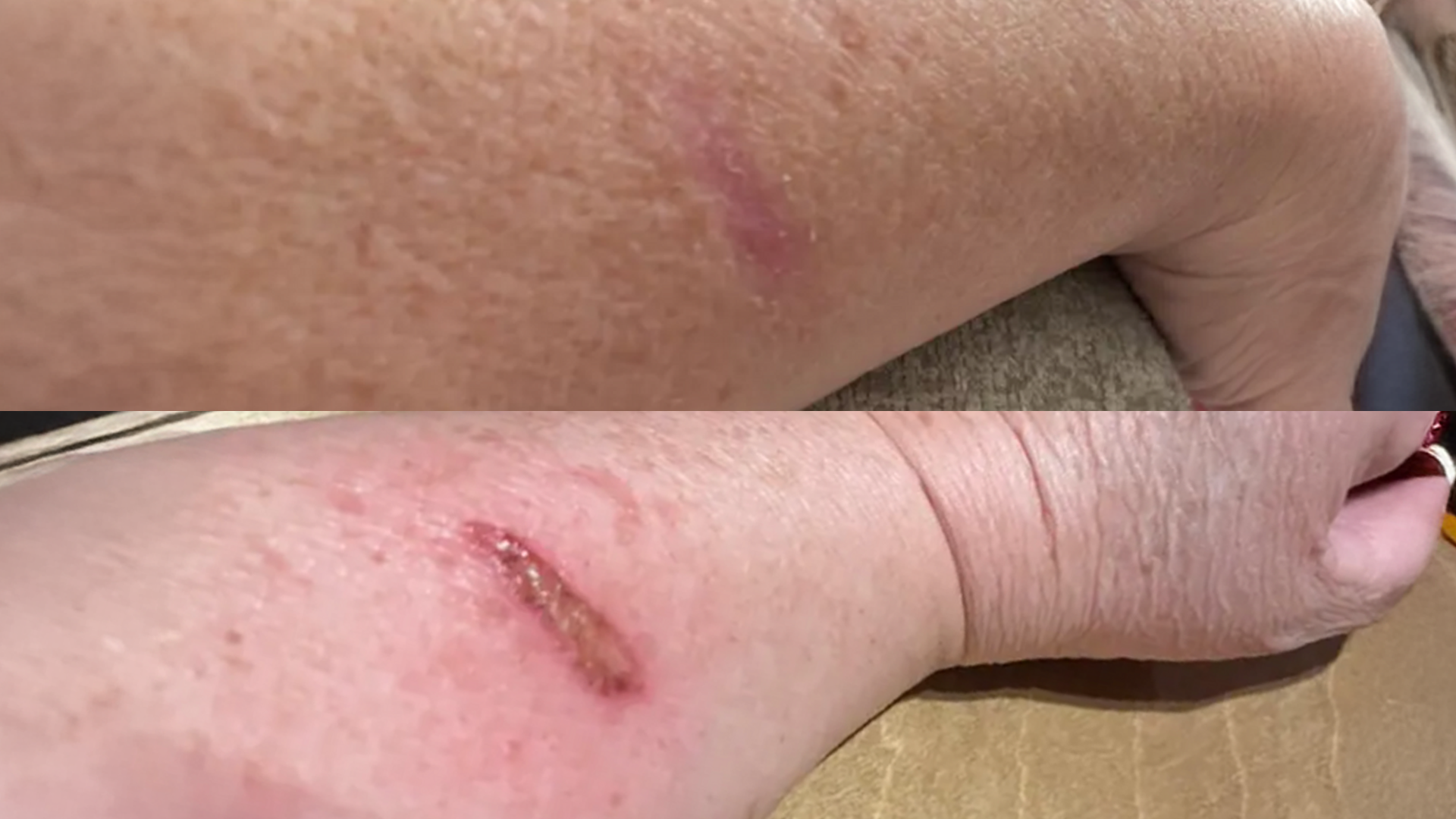 F-Balm - Anti-Woke, Non-Vegan, All-In-One Skincare