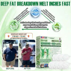 Tailden® Moringa · Berberine × NAD+ 10-in-1 Advanced Nano Microneedle Patch