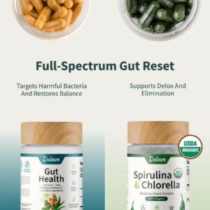 Dulave Gut Glow: The Protocol For Your Gut's Hidden Enemy