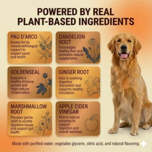 Pawly - Natural Yeast Relief