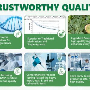 Alcuras® Moringa × Berberine × AMPK 8-Benefit Slimming & Metabolic Nano Microneedle Patch