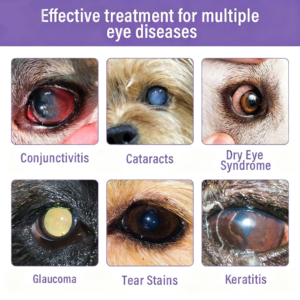 BBOJI™Pet Eye Drops-Relieves Conjunctivitis, Dry Eyes, Cataracts, and Keratitis