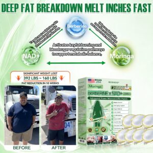 RUDAUO Moringa Berberine NAD+ 10 in 1 Advanced Nano Microneedle Patch