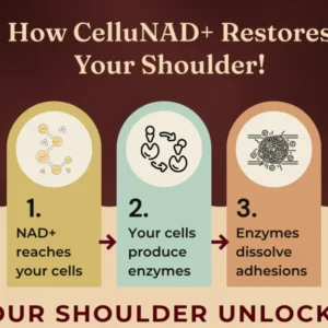 CELLUNAD+ From 3 AM Wake-Ups to Pain-Free Days