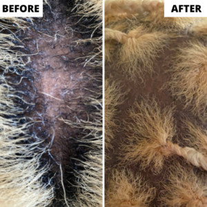 Hair transformation before and after