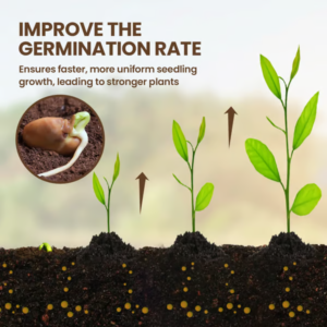 QIAWI Soil Activated Treasure-You Will Be Amazed