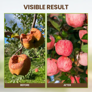 QIAWI Soil Activated Treasure-You Will Be Amazed