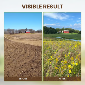 QIAWI Soil Activated Treasure-You Will Be Amazed