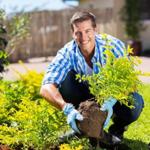 QIAWI Soil Activated Treasure-You Will Be Amazed