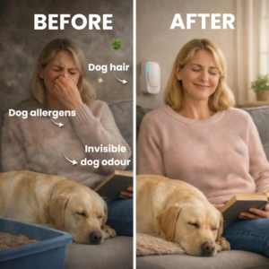AirClean™ Plug in Air Purifier | Removes 99% of dog odours within 24 hours