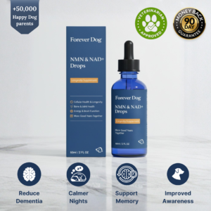 Forever Dog The Science-Backed Protocol for Senior Dog Dementia