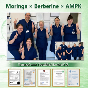 Alcuras® Moringa × Berberine × AMPK 8-Benefit Slimming & Metabolic Nano Microneedle Patch