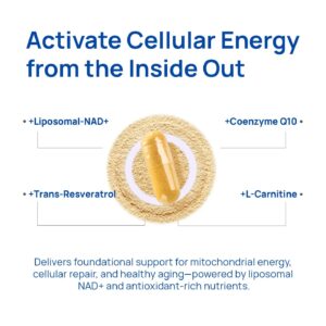 Vantique NAD+ Supplement for Men