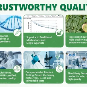 InsLemon® Moringa Berberine AMPK 10-in-1 Metabolic Support Nano Microneedle Patch