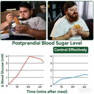 RUDAUO Moringa Berberine NAD+ 10 in 1 Advanced Nano Microneedle Patch