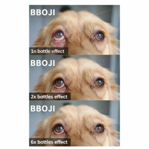 BBOJI™Pet Eye Drops-Relieves Conjunctivitis, Dry Eyes, Cataracts, and Keratitis