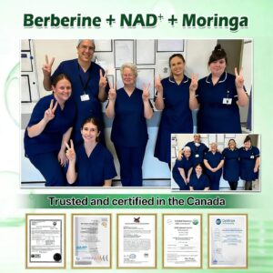 SOLVIRON Moringa Berberine NAD+ 10 in 1 Advanced Nano Microneedle Patch