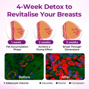 Healrize MaxCurve Sculpting & Volumizing Bust Oil