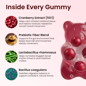 AvaRoot Cranberry Gummies | Urinary & Kidney Defense Formula