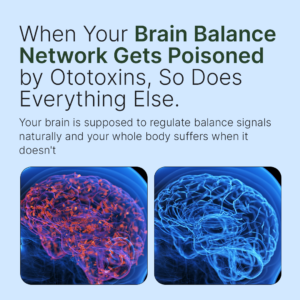 Wellim FORTISCORTEX - maximum potency brain balance & clarity capsules