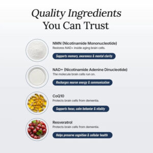 Forever Dog The Science-Backed Protocol for Senior Dog Dementia