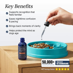 Forever Dog The Science-Backed Protocol for Senior Dog Dementia