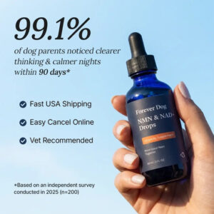 Forever Dog The Science-Backed Protocol for Senior Dog Dementia