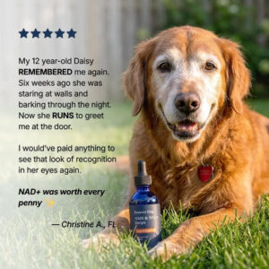 Forever Dog The Science-Backed Protocol for Senior Dog DementiaForever Dog The Science-Backed Protocol for Senior Dog Dementia