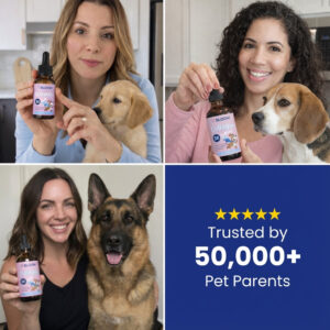 Bloom Triple Collagen