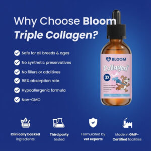 Bloom Triple Collagen