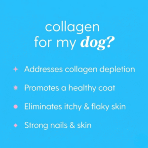 Pawly 5-in-1 Liquid Collagen+ for Dogs