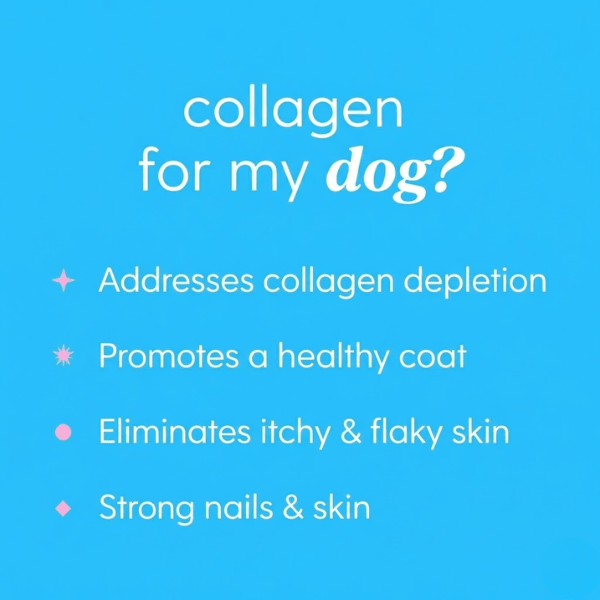 Pawly 5-in-1 Liquid Collagen+ for Dogs