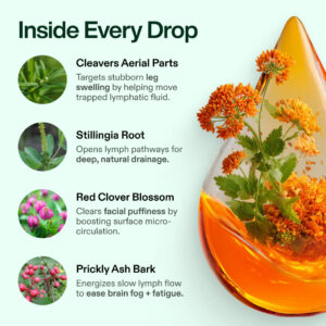 Lymphcare Lymphatic - Drainage Wellness Drops