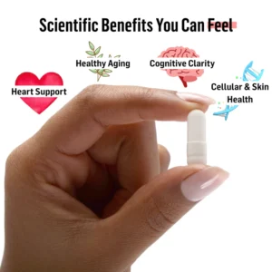 Olivara: Hydroxytyrosol Supplement