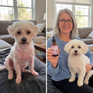 Bloom Triple Collagen