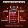 STALLION FOR MEN’S POWER AND HEALTH DIETARY SUPPLEMENT