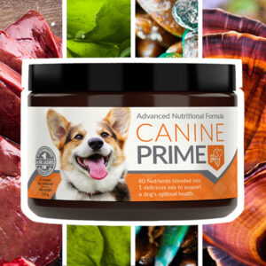 Advanced Nutritional Formula Canine Prime