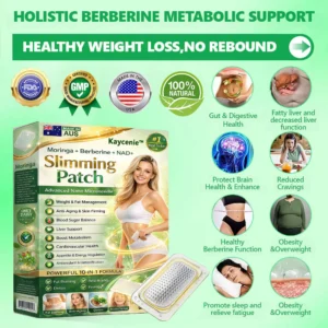 Kaycenie Slimming Patch Advanced Nano Microneedle