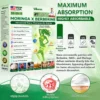 Vilnexa Moringa X Berberine Nano Microneedle Patch