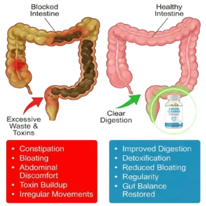 Colon Cleanse Your Natural Choice for Healthy Digestion