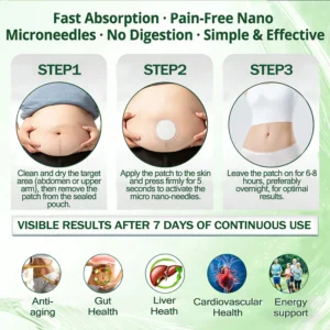 Vilnexa Moringa X Berberine Nano Microneedle Patch