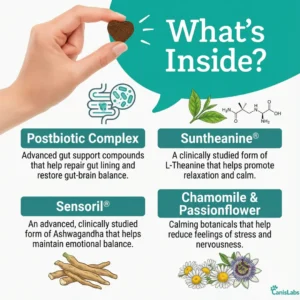 CanisLabs CalmAxis Daily Gut-First Rescue Calming Chews