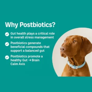 CanisLabs CalmAxis Daily Gut-First Rescue Calming Chews