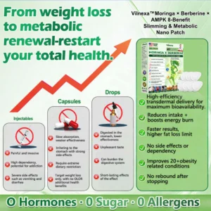 Vilnexa Moringa X Berberine Nano Microneedle Patch