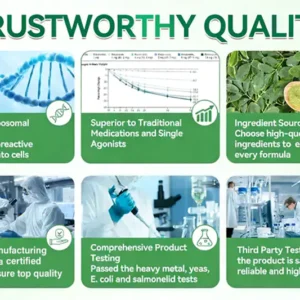 Opuasdga Moringa X Berberine Nano Microneedle Patch