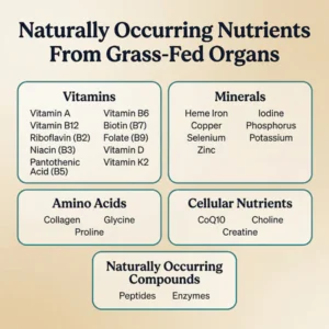 NutraVantix Vital Beef Complex