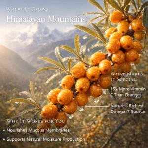 Nomend NOURISH Himalayan Superfood Complex 90 Gummies