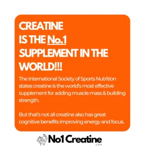 No1 Creatine Creatine Gummies Natural Berry Flavor