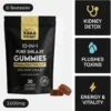 XARA SHILAJIT 10-IN-1 Pure Shilajit Gummies Himalayan