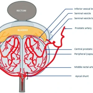 NoctiFlo Men’s Circulation + Nighttime Pelvic Comfort